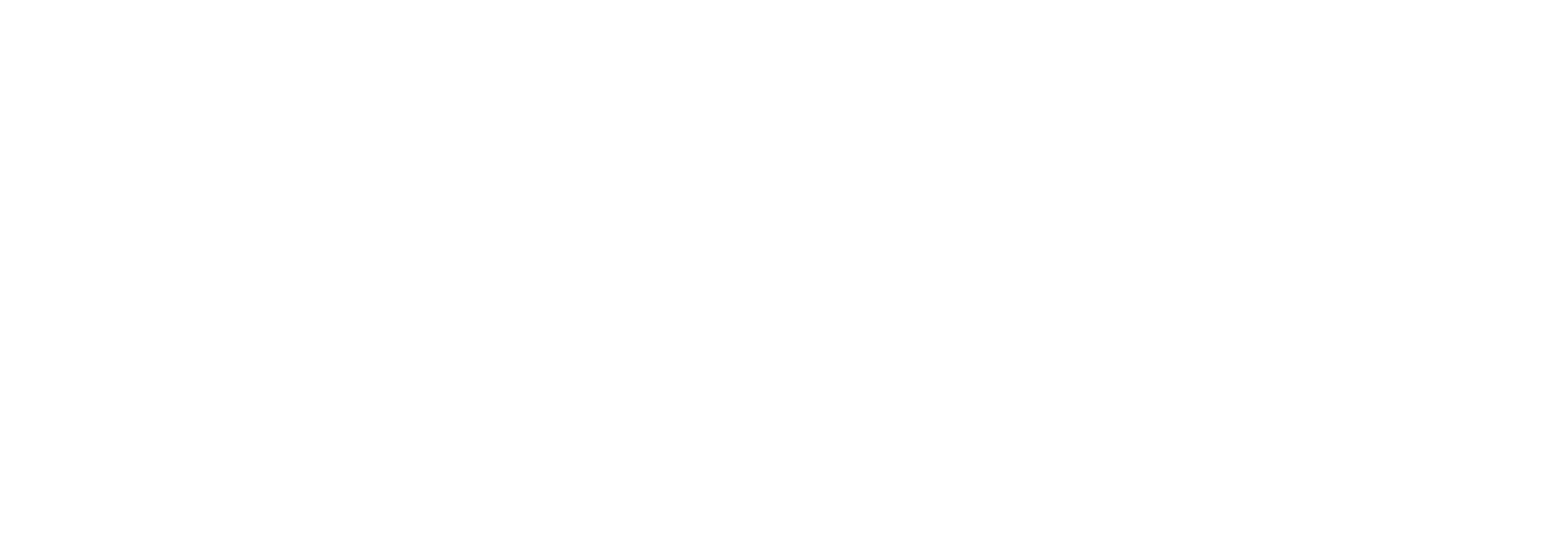 Gri Vize Danışmanlık